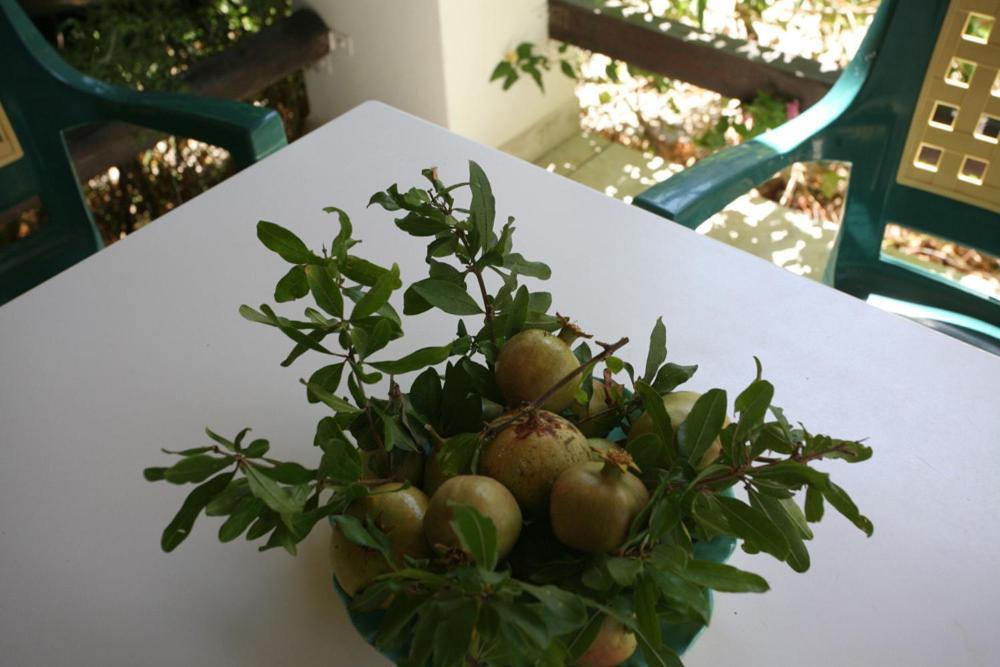 Caviri Apartment กาลิสซาส ภายนอก รูปภาพ